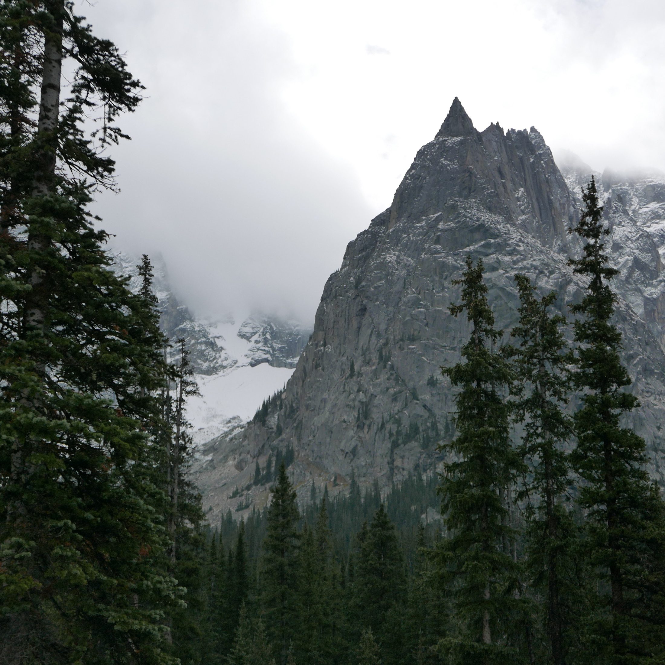 A dramatic Colorado mountain peak framed by trees