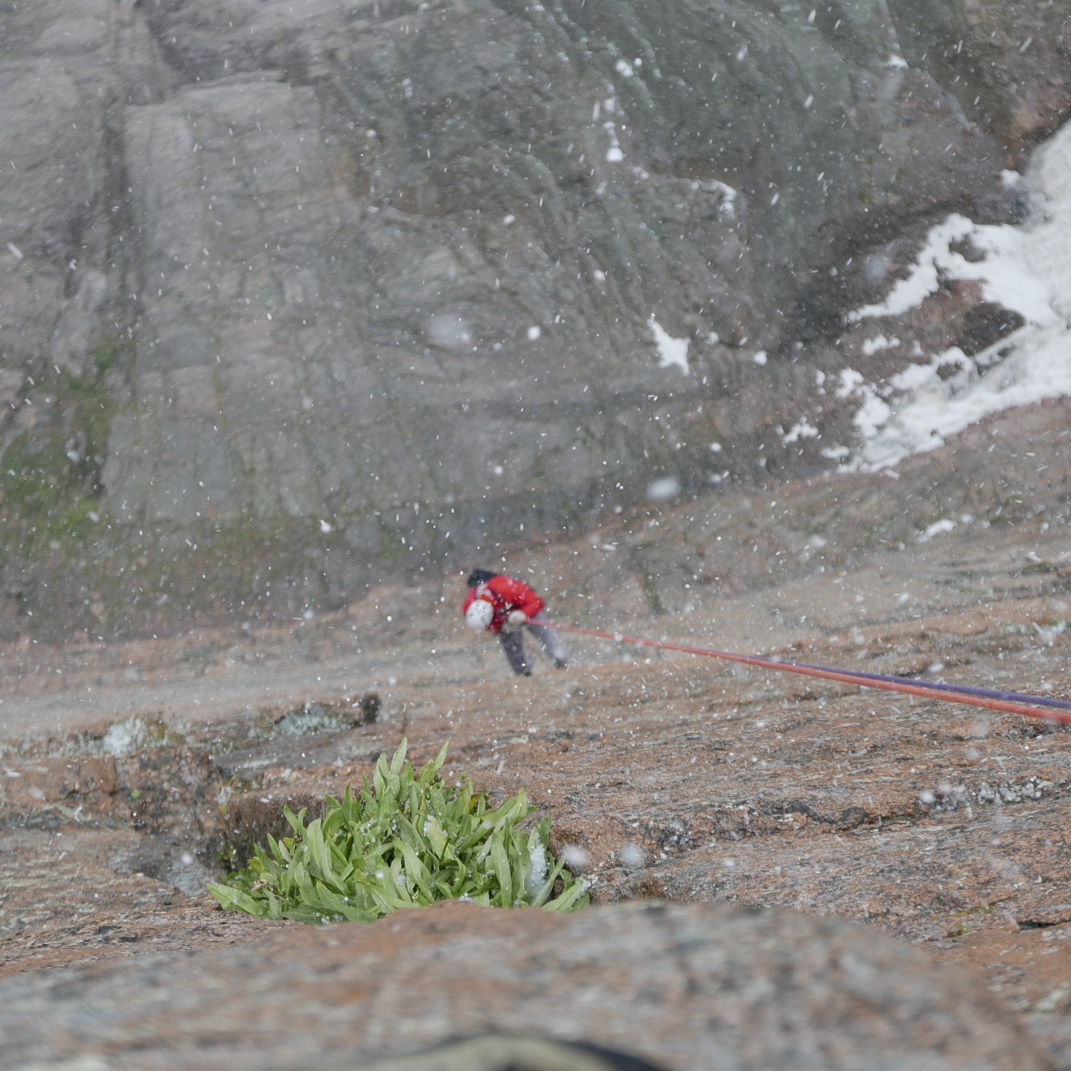 Climber descending through snow in the Colorado mountains